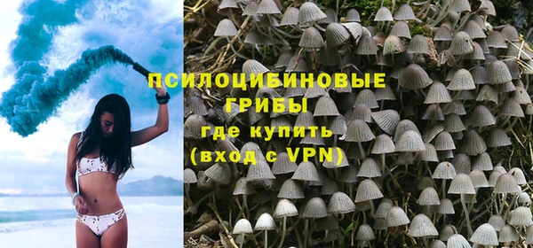 стафф Зеленокумск