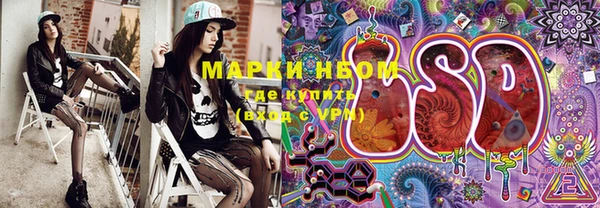 стафф Зеленокумск