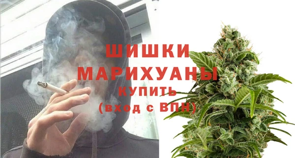 стафф Зеленокумск